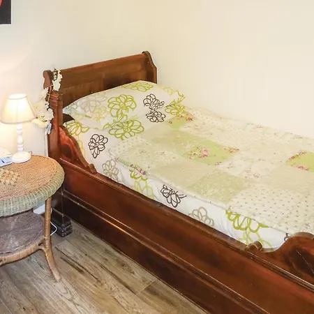 Pet Friendly In Ribaute